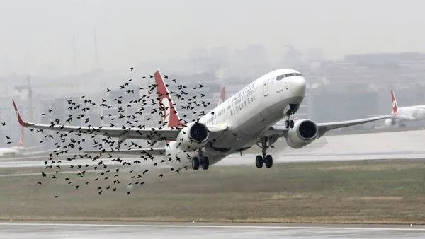 THY Teknik'ten 1.1 milyar dolarlık ciroyla Türkiye ekonomisine dev katkı-2