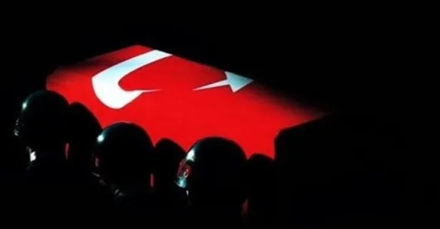 Son dakika: Mardin'de çatışma: 1 özel harekat polisi şehit oldu