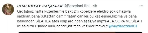 Oda TV'den kesmeli biçmeli algı oyunu! "Köpeklere elektroşok" kavgasından siyasi operasyona kalkıştılar-4
