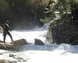 Uçuruma düşen kayıp gazeteci Abdulkadir Nişancı için derenin yönü değiştirilecek