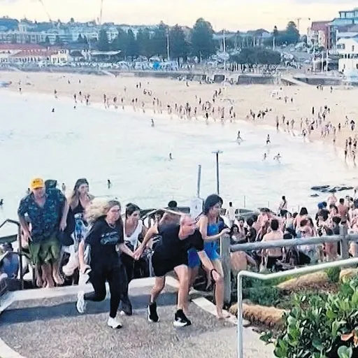 Bondı plajında kanlı baskın