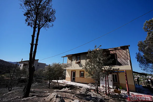 Çeşme yangınında zarar gören alanlar görüntülendi: Her şeyimiz yandı - 38