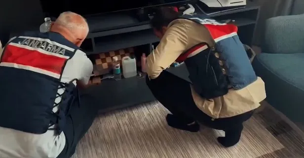 Sivas ve Hatay merkezli 10 ilde suç örgütlerine operasyon: 56 zanlıdan 33'ü tutuklandı!