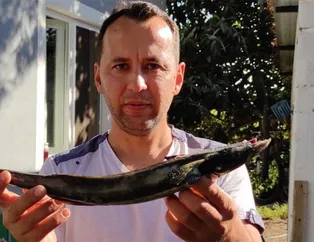 Oltayı çektiğinde şaşkına döndü!