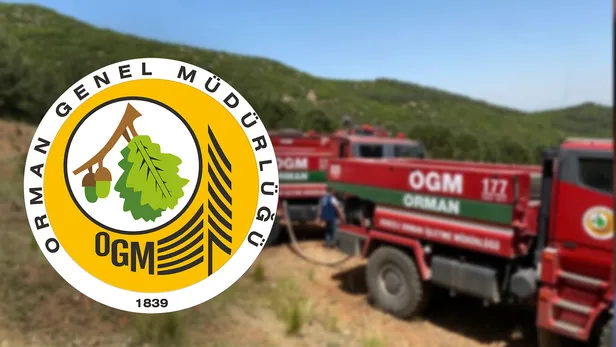 1639910645105.jpg Orman Genel Müdürlüğü orman mühendisi alımı şartları nelerdir? OGM personel alımı ne zaman yapılacak? Hangi illerde alım yapılacak?-4