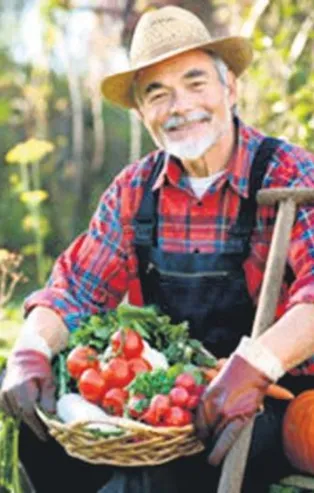 Tarımda yeni model | Ekonomi haberleri