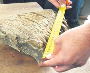 Bakın nereden çıktı!