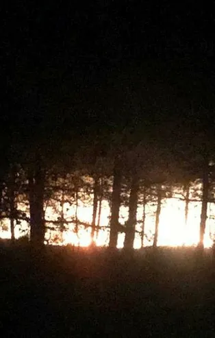 Tekirdağ'da orman yangını