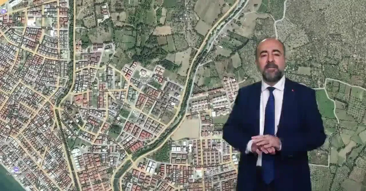 Kazdağları zeytinlik ve sahili CHP katliamına uğruyor! CHP'li siyasetçiler ve belediyeler rant alanına çevirdi