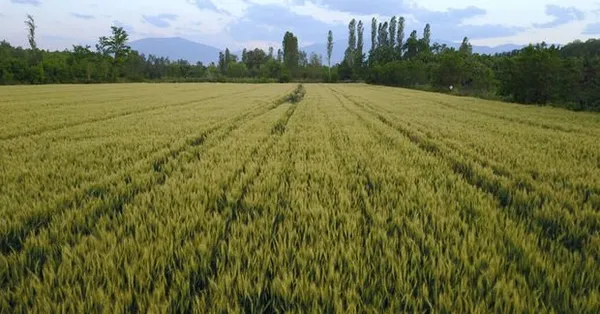 Sosyal konut başvurusu yapan vatandaşlar konut arsasına da başvurabilecek mi? Ödemeler ne olacak? Arsaya ne zaman ev yaptırabilecek?