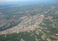 Ağaçları koruyacağız dediler, ormanları talan ettiler! Ne dedilerse tersini yaptılar