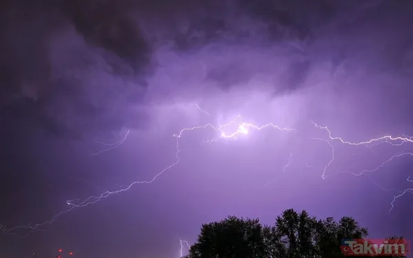 "Yıldırım Mıknatısı" olarak anıldı Yaşadığı inanılmaz deneyimler sayesinde hem bilim dünyasında hem de popüler kültürde adından söz ettirdi. "Yıldırım...