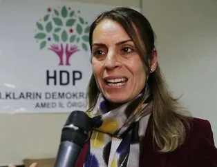HDP İl binasında yargıladılar kararı Kandil’e rapor ettiler