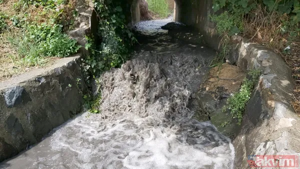 Kocaeli Dilovası'nda kömür tozları dereye aktı! İzmit Körfezi simsiyah oldu - 5
