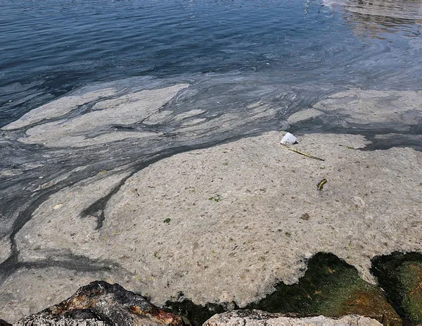Marmara istila altında! Deniz salyasının (müsilaj) ilk raporu ortaya çıktı! Korkunç sonuç!-12