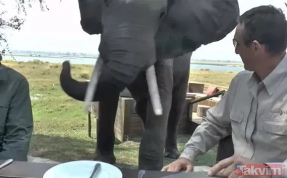 Sadece fotoğraf çektirmek istedi genç kız hayatının şokunu yaşadı! Bir anda üzerine atladı ne var yok... - 19