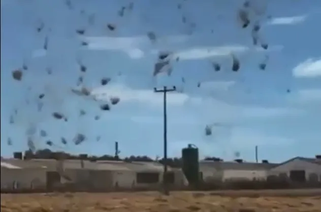 Bandırma'da hortum paniği