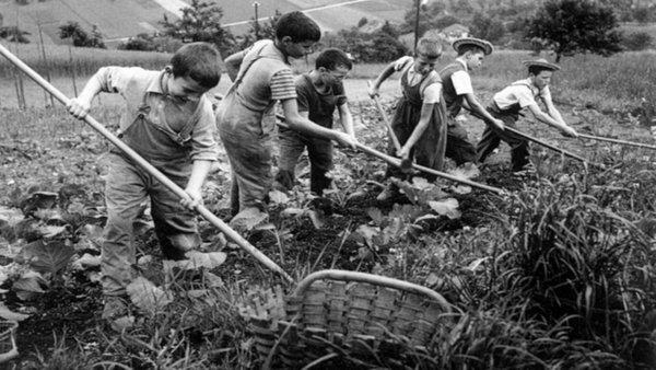 kim-milyoner-olmak-isterde-avrupanin-karanlik-yuzunu-ifsa-eden-soru-iste-1980lere-kadar-cocuklarin-acik-artirm-1642797134096.jpeg Kim Milyoner Olmak İster'de Avrupa'nın karanlık yüzünü ifşa eden soru! İşte 1980'lere kadar çocukların açık artırmada satıldığı ülke-6