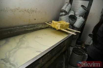 Sahte peynir üretimi yapan işletmenin mide bulandıran görüntüleri ortaya çıktı
