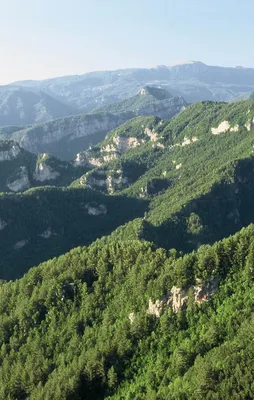 Hedef yemyeşil Türkiye