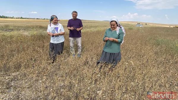 Nadasa bırakacaktı pelemir ekti jet yakıtı üretilecek - 1