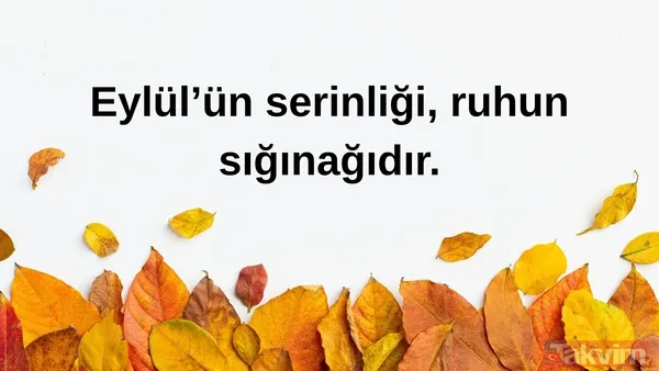 🌾Eylül'ün Serinliği, Ruhun Sığınağıdır.