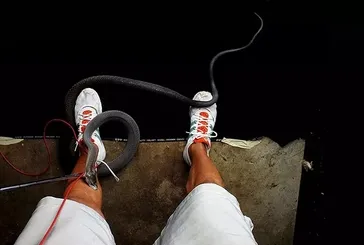 Kara mamba bir anda saldırdı! Dehşeti böyle yaşadı! Fotoğrafını çektiği sırada olanlar oldu