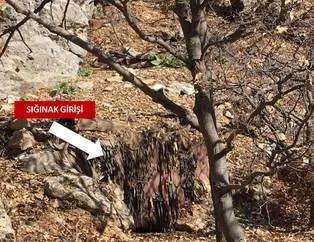 TSK paylaştı: Korkularından inlerinde saklanıyorlar