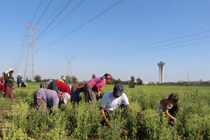 17 yıllık mesleğini bıraktı, servetine servet kattı - 10