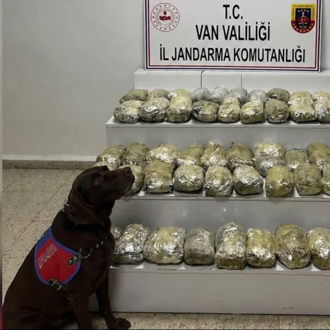 24 ilde uyuşturucu operasyonu