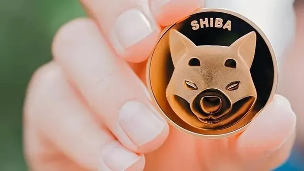 shiba-inu-coin-neden-dusuyor-shiba-inu-gelecegi-ne-duser-mi-yukselir-mi-son-dakika-shiba-inu-yorumlari-1652341153204.jpeg