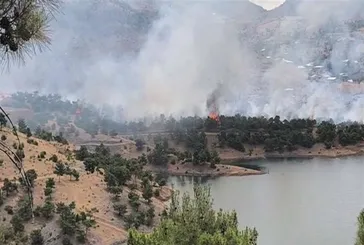 Adıyaman’da orman yangını