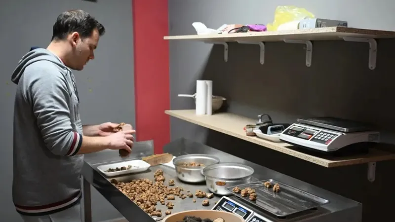 edirneden-avrupaya-truf-mantari-ticareti-kilosu-20-bin-tlyi-asiyor-1776437732761.jpg Edirne’den Avrupa’ya trüf mantarı ticareti: Kilosu 20 bin TL'yi aşıyor-5