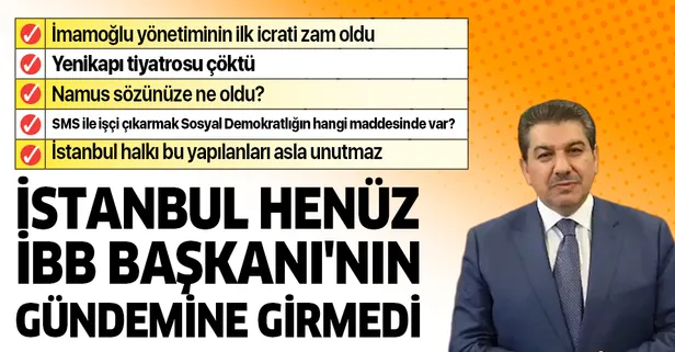 Tevfik Göksu: "İstanbul henüz İBB Başkanı'nın gündemine girmedi"
