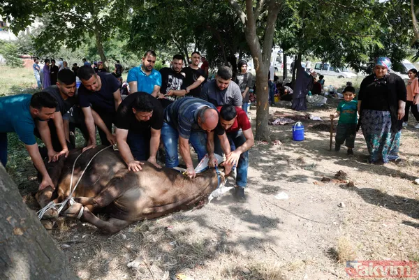 "Bu alanda kesim yasak" afişinin altında kaçak olarak kurban kesimi yaptılar - 20