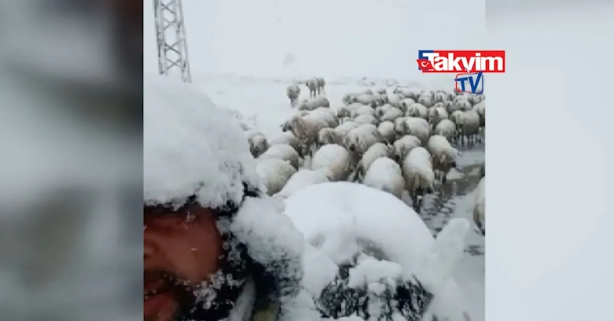 Sivas'ın 2 ilçesi beyaza büründü