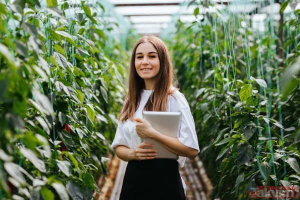 İşletme kiralayana, hayvan alacaklara, sera yapacaklara müjde! 1 milyon TL genç çiftçi kredisi! 'Köye gidip iş kurcam' diyene devletten para fışkırıyor! - 18