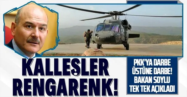 Terör örgütü PKK'ya ağır darbe!