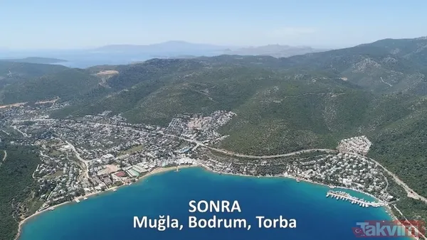 CHP ve yandaşı medyanın yangınlar üzerinden kirli algı oyunu çöktü: 'Otel yapacaklar' dedikleri alanlar tek tek yeşillendirildi - 28