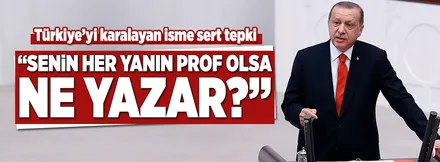 Erdoğan'dan Türkiye'yi karalayan profesöre çok sert tepki!