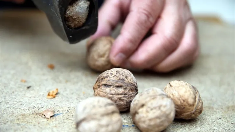 canan-karatay-ekmek-yerine-bunu-yiyin-deyip-aciklamisti-uzmanlar-son-noktayi-koydu-1714075839288.jpg Uzmanlar son noktayı koydu: Canan Karatay "Ekmek yerine bunu yiyin" deyip açıklamıştı!-6