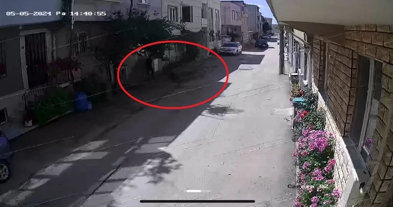 Bursa'da sokak köpeklerinin saldırdığı 3 çocuktan 2'si yaralandı: Olay anı kamerada-3