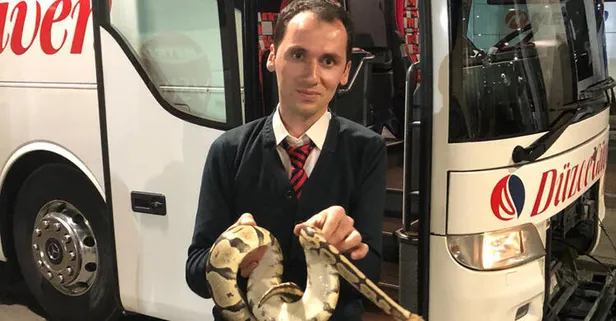 Otobüsün stepne bölümünden piton çıktı!