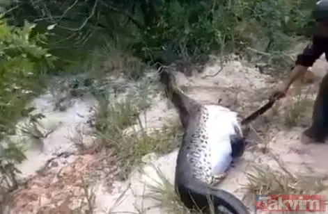 Duvarın içinden gelen seslerden ilallah etti sonunda paramparça etti! Gördükleri karşısında kalbi yerinden çıkacaktı - 18