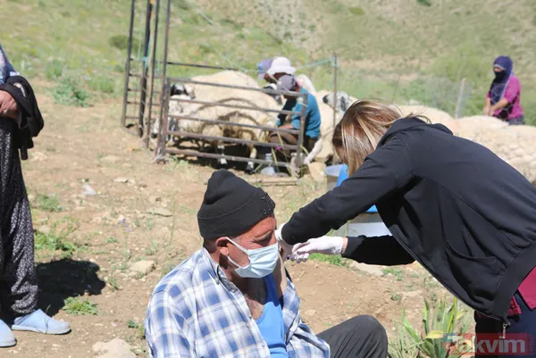 Tunceli'de sürü sahipleri 2 bin 500 metre rakımlı yaylada aşılandı - 17