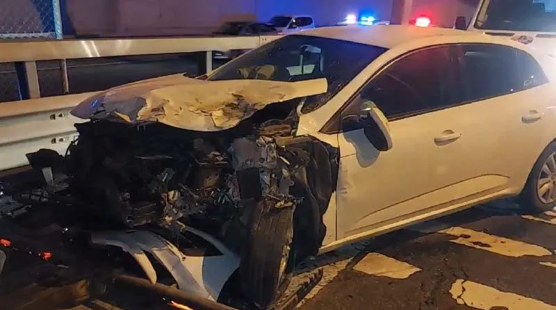 Son dakika: TEM Otoyolu'na giren başıboş sokak köpeği zincirleme kazaya neden oldu: 1'i bebek 12 yaralı-6