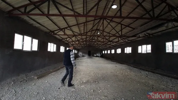 "Yapamazsın" dediler! 300 bin lirayla girdi! 15 bin yavru siparişi aldı - 15