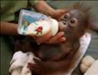 Muhteşem kareler - 79