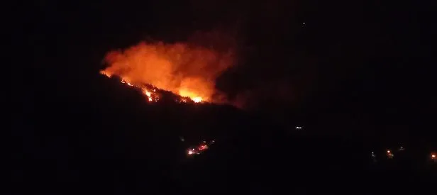 Adana’da orman yangını