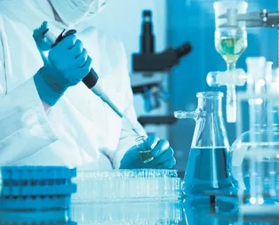 Merkel’e inat yatırım